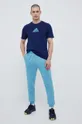 Спортивні штани adidas блакитний