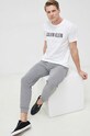 Спортивные штаны Tommy Hilfiger UM0UM02880.PPYX серый SS23
