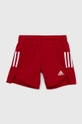 червоний Дитячі шорти adidas Performance CONDIVO21 SHOY Для хлопчиків