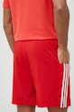 Ρούχα Σορτς προπόνησης adidas Essentials Chelsea Essentials Chelsea IC1486 κόκκινο