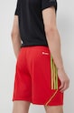 Одяг Шорти для тренувань adidas Performance Tiro 23 IB8090 червоний
