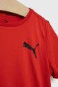 Chłopiec Puma t-shirt dziecięcy ACTIVE Small Logo Tee B 58698011.PPYX czerwony