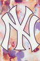 Топ 47brand MLB New York Yankees