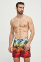 Купальные шорты Quiksilver Planet friendly мультиколор AQYJV03147