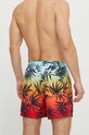Одежда Купальные шорты Quiksilver AQYJV03147 мультиколор
