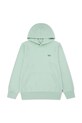 Levi's bluza dziecięca LVB MINI BATWING PULL OVER HOO 9EK422 zielony SS26