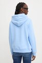 Oblečení Mikina Tommy Jeans DW0DW17324 modrá