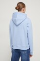 Oblečení Mikina Tommy Jeans DW0DW17324 modrá
