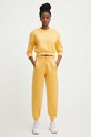 adidas bluza IW1234 żółty SS24