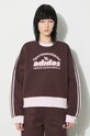 Odjeća Dukserica adidas Originals IR6098 smeđa
