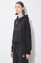 Puma sweatshirt CLASSICS Shiny Logo Hoodie black 625595