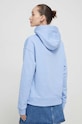 Oblečení Mikina Tommy Jeans DW0DW17794 modrá