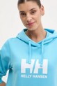 Helly Hansen hanorac de bumbac HH LOGO 2.0 albastru 34460