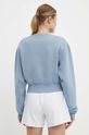 Odzież Reebok Classic bluza Wardrobe Essentials 100076122 niebieski