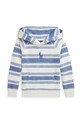 Дитяча кофта Polo Ralph Lauren з капюшоном блакитний 312941119001