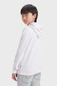 Levi's bluza copii LVB PALM BATWING FILL HOODIE 9EK810