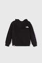 The North Face bluza OVERSIZED HOODIE NF0A89PF czarny SS24