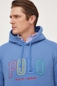 Кофта Polo Ralph Lauren блакитний 710926600