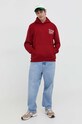 Кофта Tommy Jeans DM0DM18860 бордо SS24