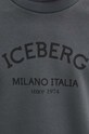 Кофта Iceberg E05D.6317 сірий