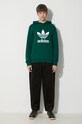 adidas Originals cotton sweatshirt Adicolor Classics Trefoil IM9407 green SS24