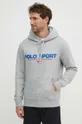 Кофта Polo Ralph Lauren сірий 710938447