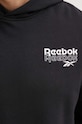 Reebok bluza Brand Proud 100076385