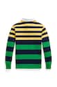 Polo Ralph Lauren gyerek hosszúujjú 323926823001 többszínű SS24