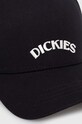 Кепка Dickies SHAWSVILLE TRUCKER DK0A4YPG чорний SS24