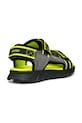 Chlapec Detské sandále Geox SANDAL AIRADYUM J45F1B.014ME.28.35 zelená