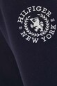 Спортивні штани Tommy Hilfiger темно-синій WW0WW40601