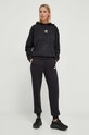 adidas spodnie dresowe IP2262 czarny SS24