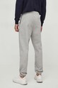 Odjeća Donji dio trenirke Tommy Hilfiger MW0MW33656 siva