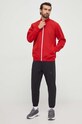 Штани для тренувань adidas Performance Designed for Training IN7919 чорний SS24