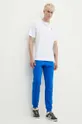 Спортивные штаны adidas Originals Essential Pant голубой