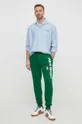 Спортивные штаны Polo Ralph Lauren зелёный