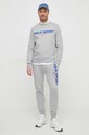 Спортивні штани Polo Ralph Lauren 710835768 сірий AW24