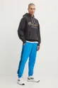 Спортивные штаны adidas Originals голубой