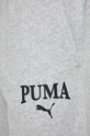 Спортивні штани Puma сірий 678972