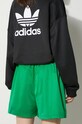 Odjeća Kratke hlače adidas Originals Firebird Shorts IN6283 zelena