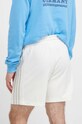 Îmbrăcăminte adidas pantaloni scurti IS1380 bej