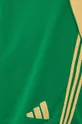 zelená Tréningové šortky adidas Performance Tiro24
