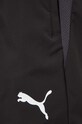 Шорти для тренувань Puma TeamGOAL 658774 чорний