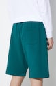 Clothing Carhartt WIP shorts Chase Sweat Short I033669.1YWXX green