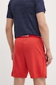 Îmbrăcăminte Nike pantaloni scurti Boston Red Sox 015E.163N.BQ.S0Z rosu