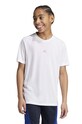 adidas t-shirt dziecięcy pozostałe biały IR6467