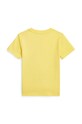 Chłopiec Polo Ralph Lauren t-shirt bawełniany dziecięcy 322853828031 żółty