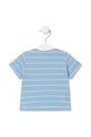 Мальчик Детская хлопковая футболка Tous Casual.2015 голубой