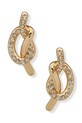 Аксесуари Сережки Dkny 04G00797 золотий