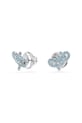 Swarovski nyaklánc és fülbevalók 5723554